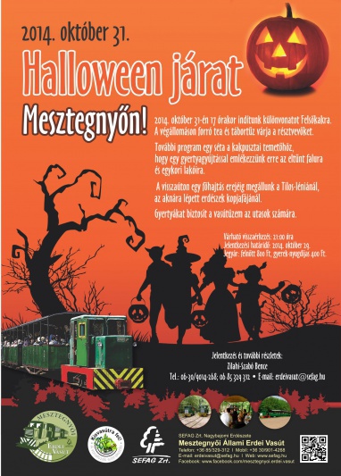 Halloween kisvasutazás Mesztegnyőn 2014. október 31-én