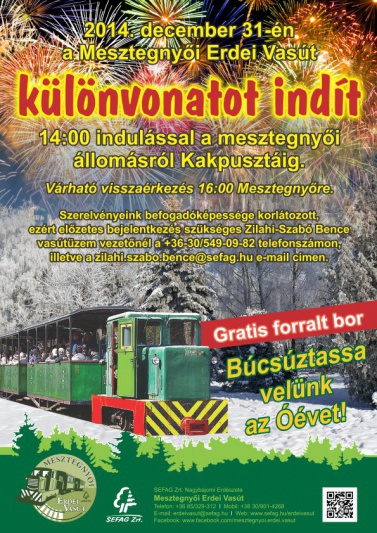 Mesztegnyői Erdei Vasút - Szilveszteri különvonat plakát